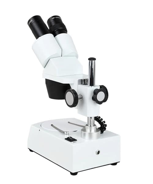 bio002 2