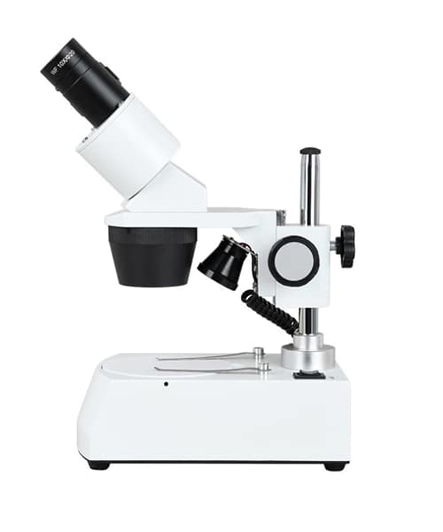 bio002 3