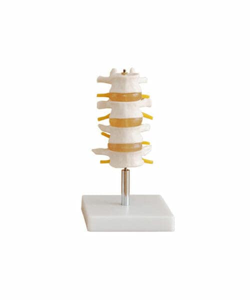 Lumbar Set (4 pcs) XC-118