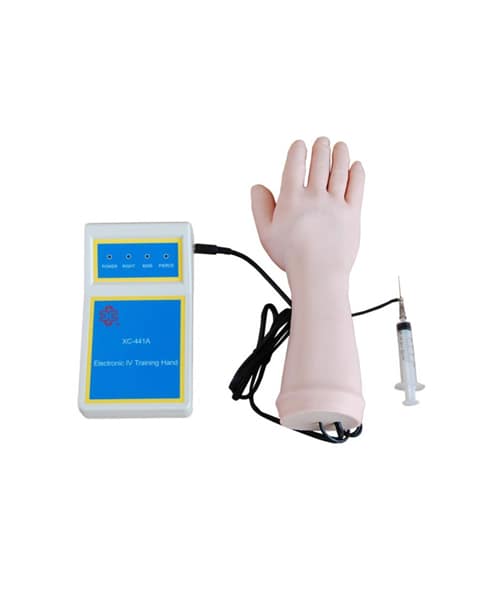 Electronic IV Training Hand XC-441A