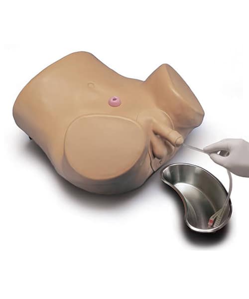 Advanced Patient Care Male and Female Catheterization Simulator
