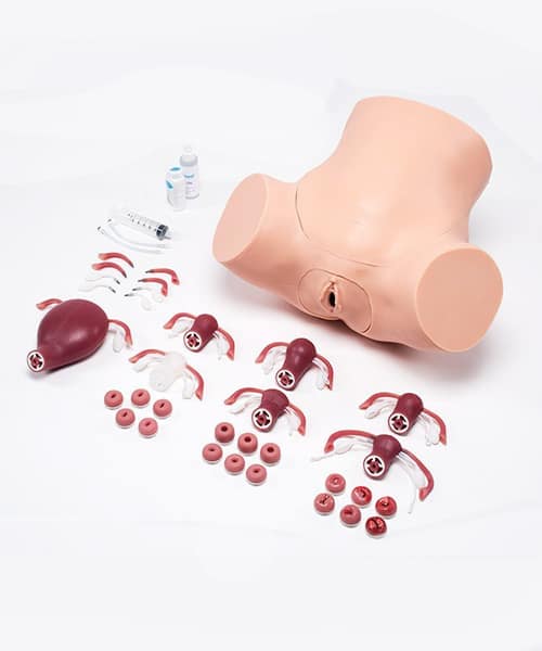 Gynecological Skills Trainer