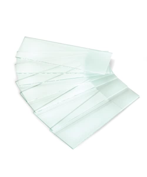 Microscope Slide (50 PCS)