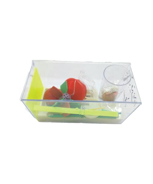 Archimedes' Principle Model