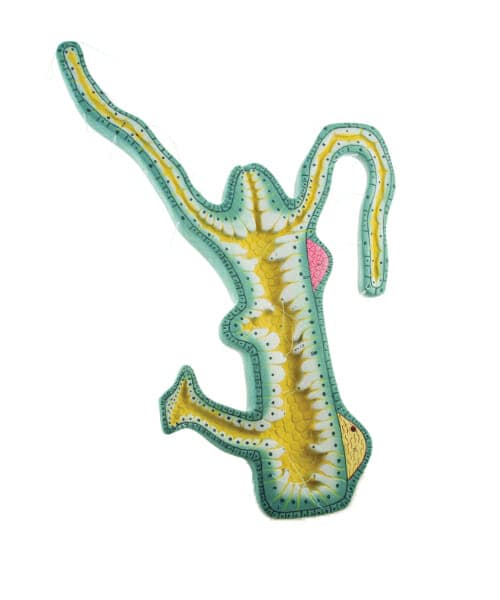 Hydra Model on Board