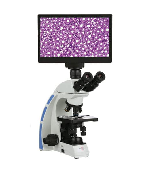 4K مجهر رقمي مع شاشة