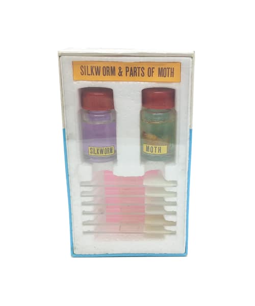 Ready Made Slide With Specimen