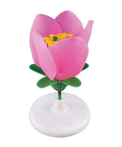 Flower Model On Base