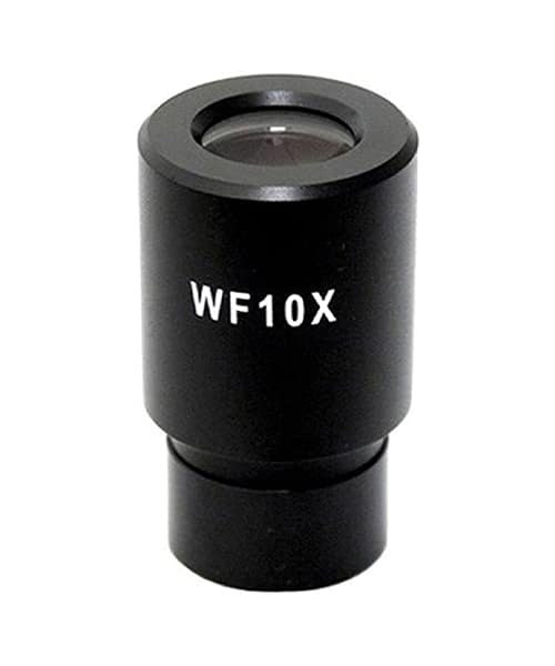 عدسة نوع شبكة العين