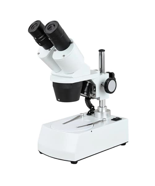 مجهر ستيريو مجهر